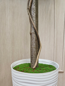 Искусственное Лимонное дерево шар 120см в кашпо