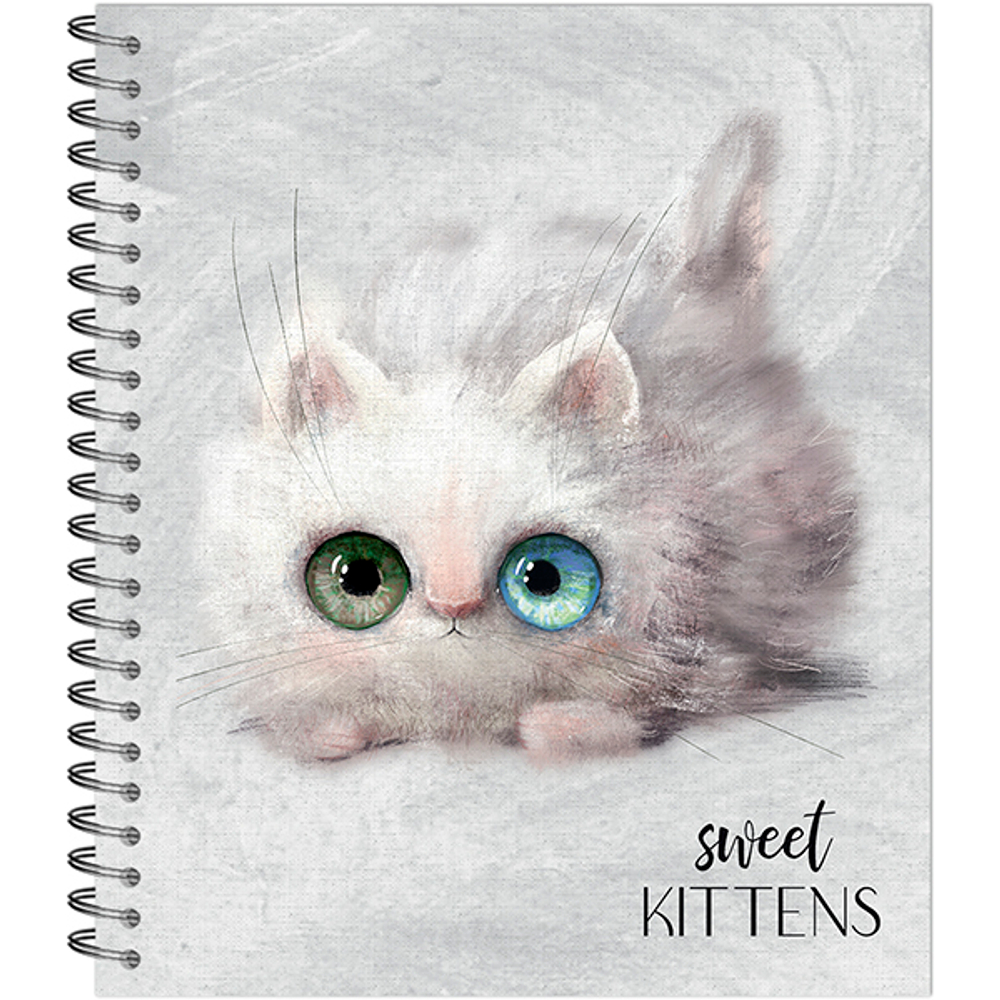 ТЕТРАДЬ ОБЩАЯ 96 ЛИСТОВ НА СПИРАЛИ “Глазастые котики”