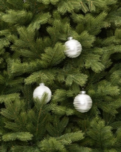 Искусственная елка Эрмитажная 210 см., 100% литая хвоя, ЕлкиТорг (94210)