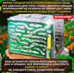 Самый Большой Формикарий с муравьями в подарок «Экосистема»
