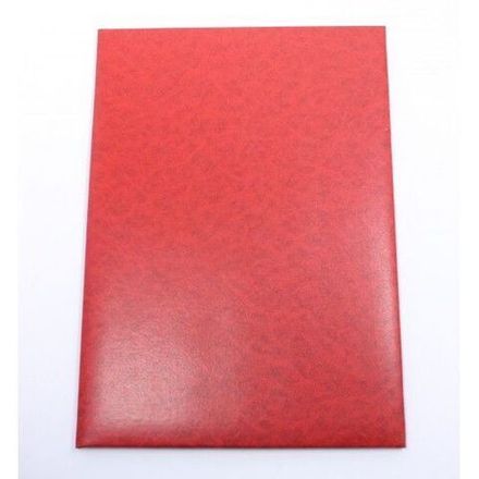 Папка адресная Без тиснения (виньетка), бумвинил, с вкладышем, Канцбург