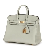 Женская сумка из коллекции B с золотой фурнитурой Hermès Birkin