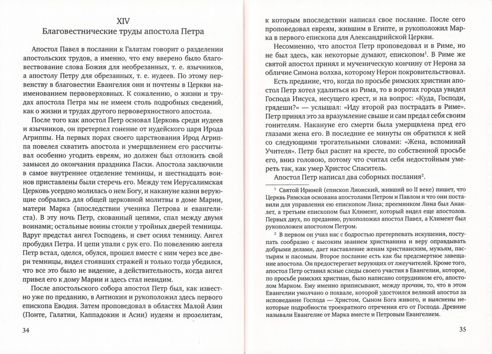 История христианской православной церкви. Протоиерей Петр Смирнов
