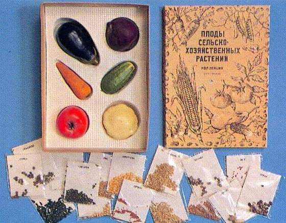 Коллекция "Семена и плоды"