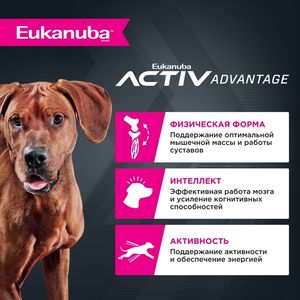 Уценка! Срок 17.08.26/ Сухой корм Eukanuba Adult Large Breed 1+ Years для взрослых собак крупных и очень крупных пород с птицей