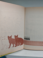 Домашние кошки