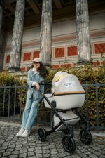 Детская коляска Anex e/type 2 в 1 joy