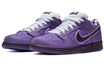 Кроссовки Concepts X Nike Dunk Sb Pro