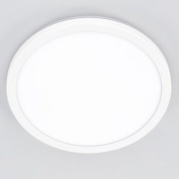 CL738240EL Бейсик Лайн Белый Св-к с пультом LED+RGB 30W