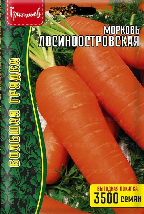 Морковь Лосиноостровская