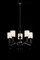 2167/5 BLACK (1) Люстра #