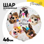 Шар Фольгированный Собачки фотографичные (Ассорти)
