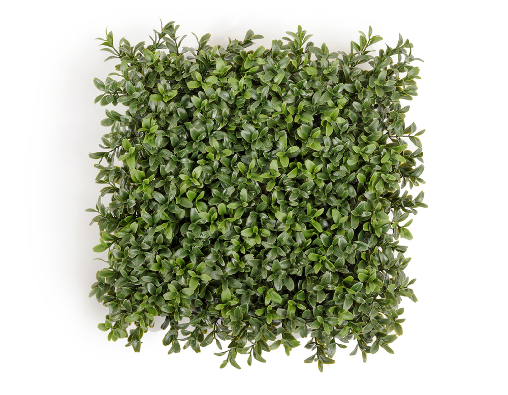 Самшитовый коврик Новый в-7 см, 25х25 см (пластик) 6/72 20.5926CP