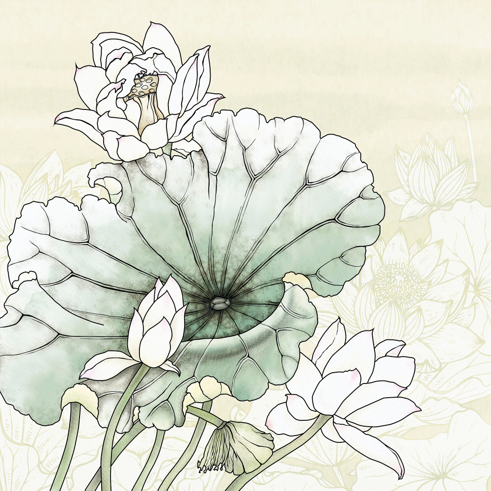 Коллекция Grafika Natura