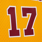 Баскетбольная джерси Mitchell&Ness NBA Gold Hardwood Classics Swingman Jersey 2004/05 Cleveland Cavaliers Anderson Varejao Yellow