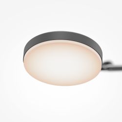 Люстра на штанге светодиодная Maytoni   MOD070CL-L15B3K1