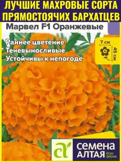 Семена цветов бархатцев Марвел F1 оранжевые 5 шт