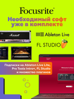 Внешняя звуковая карта Focusrite Scarlett Solo 4th Gen