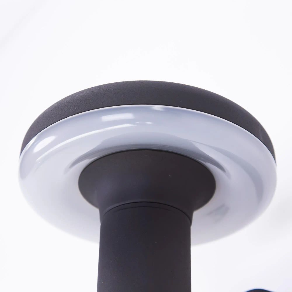 Citilux GARDA CLU01W LED Уличный настенный светильник Графит