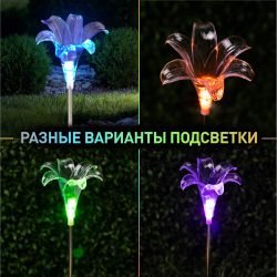 Светильник уличный ЭРА ERASF22-19 Лилия на солнечных батареях садовый 75 см