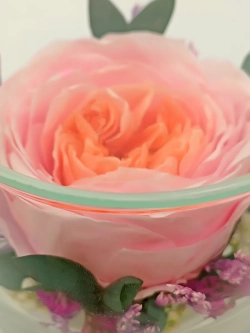 натуральный пион в стекле, вакуум*