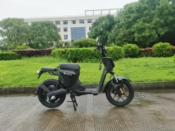 Электроскутер Skyboard Sevastopol 1800W
