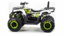 Квадроцикл MOTOLAND 200 Wild Track Lux ( Баланс. вал) (2021 Г.)