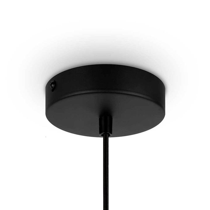 Подвесной светильник Maytoni Roots MOD193PL-01W