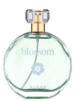 Elode Blossom