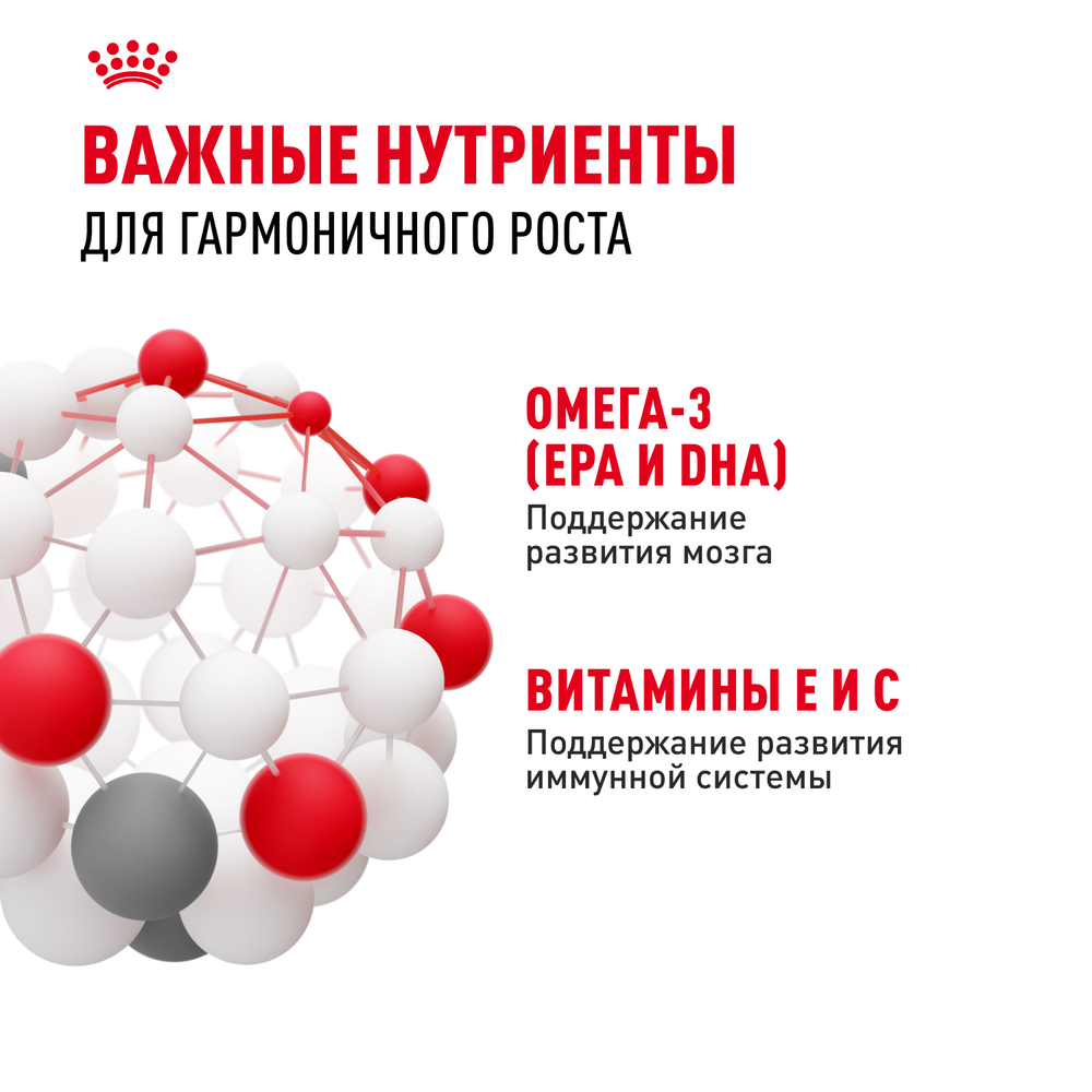 Консервы ROYAL CANIN для котят, Kitten, желе - 85 гр