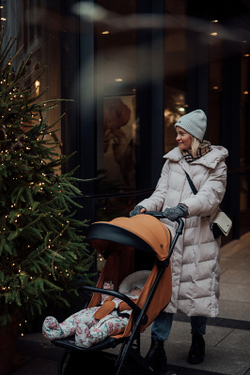 Детская прогулочная коляска Anex AIR-X toffee