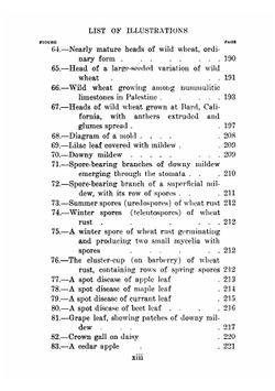 Fundamentals of Plant-Breeding | John Merle