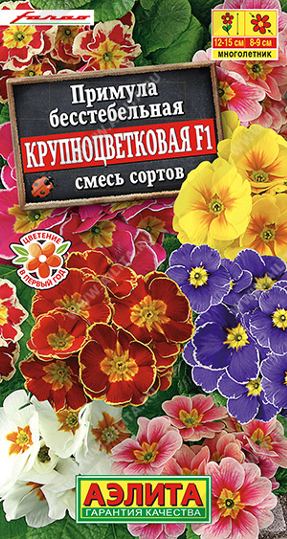 Примула Крупноцветковая смесь 7шт Ц Аэлита