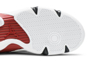 Кроссовки Jordan Air Jordan 14 Jumpman Z