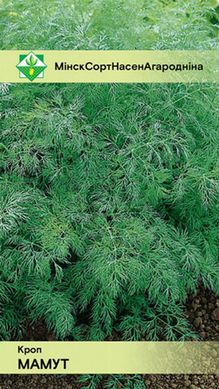 Укроп "Мамут" 2г, Польша.