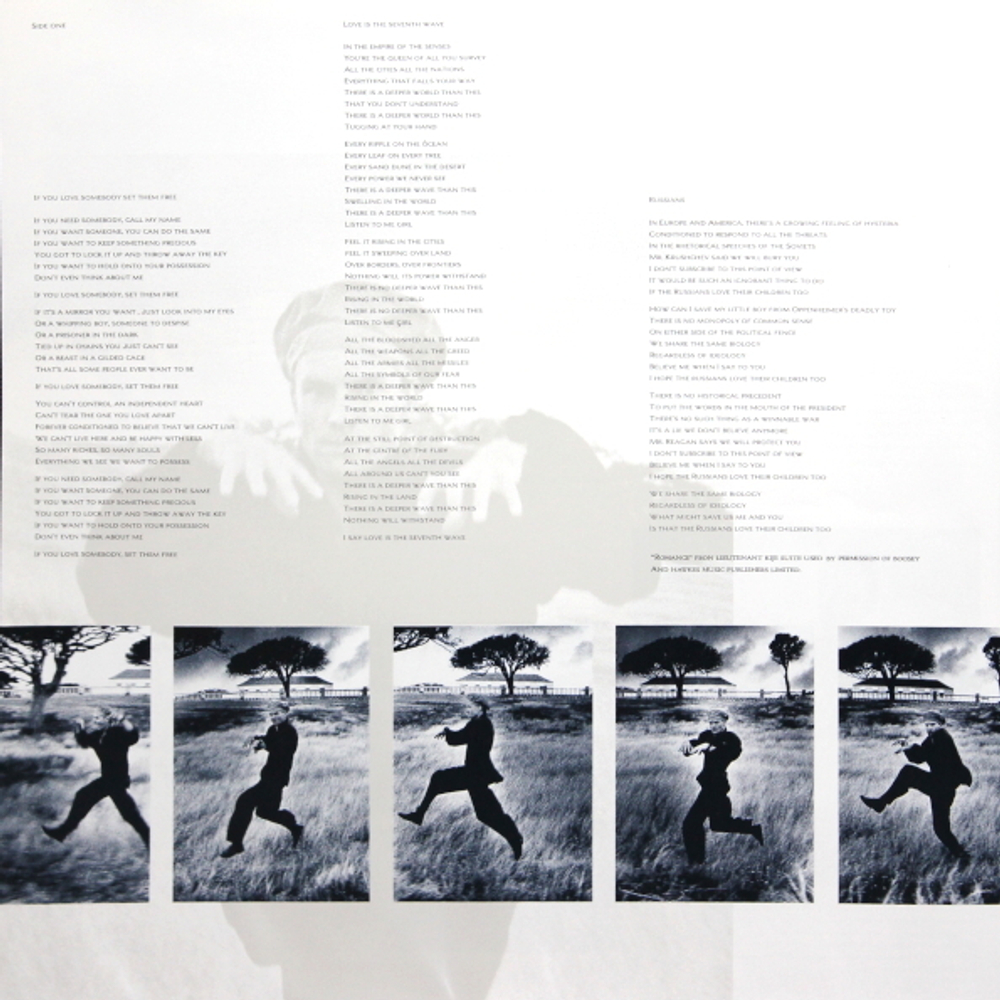 Sting / The Dream Of The Blue Turtles (LP)