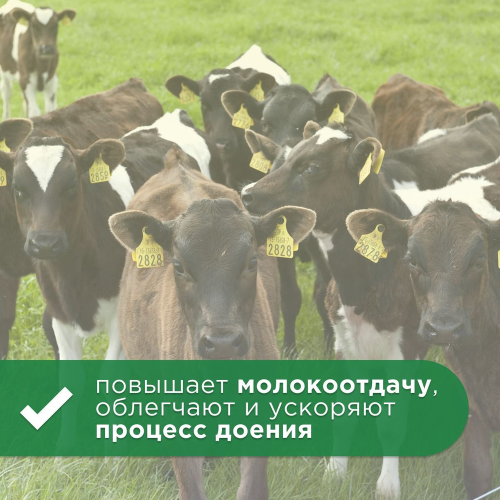 Мазь Буренка ФИТО с экстрактом алоэ для вымени коровы, 200 г