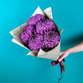 Flower bouquet of 5 purple Magnum chrysanthemums