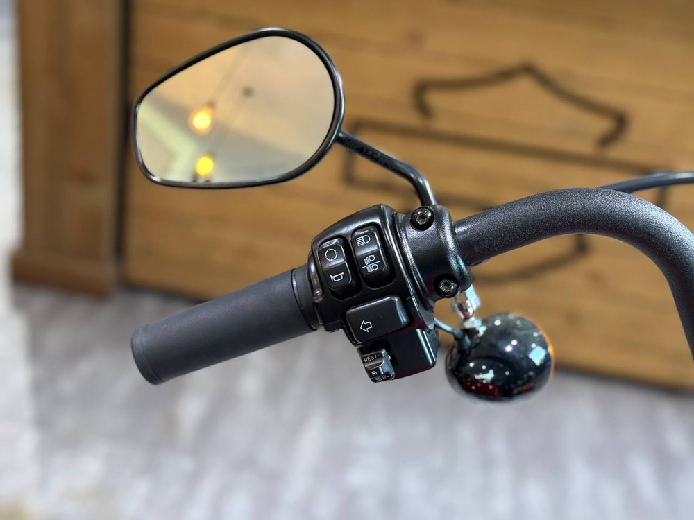 Harley-Davidson Street Bob 114, 2023 (С НДС)
