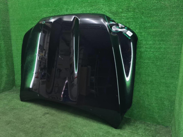 Капот Toyota Land Cruiser 300 (2021-н.в.)