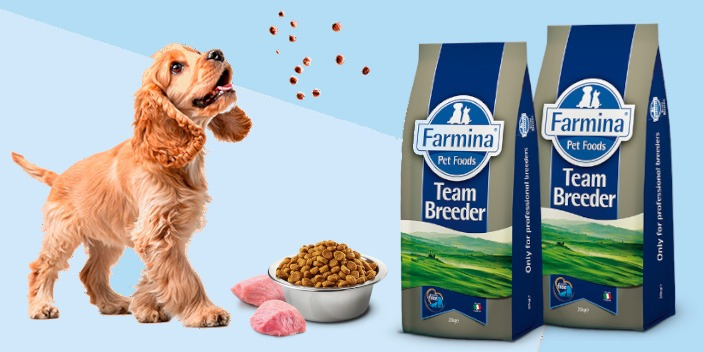 В ZOOSET вы можете приобрести Бридерские линейки кормов  ТМ FARMINA