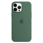 Силиконовый чехол с поддержкой MagSafe Apple Silicone Case для iPhone 13 Pro, Eucalyptus (Эвкалипт)