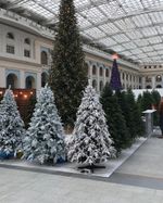 Большая елка с гирляндой «Сказочная светодинамическая» (литая+пвх) 8 м