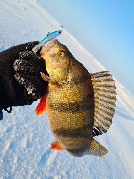 Балансир Lucky John NORDIC 4 40мм/15H