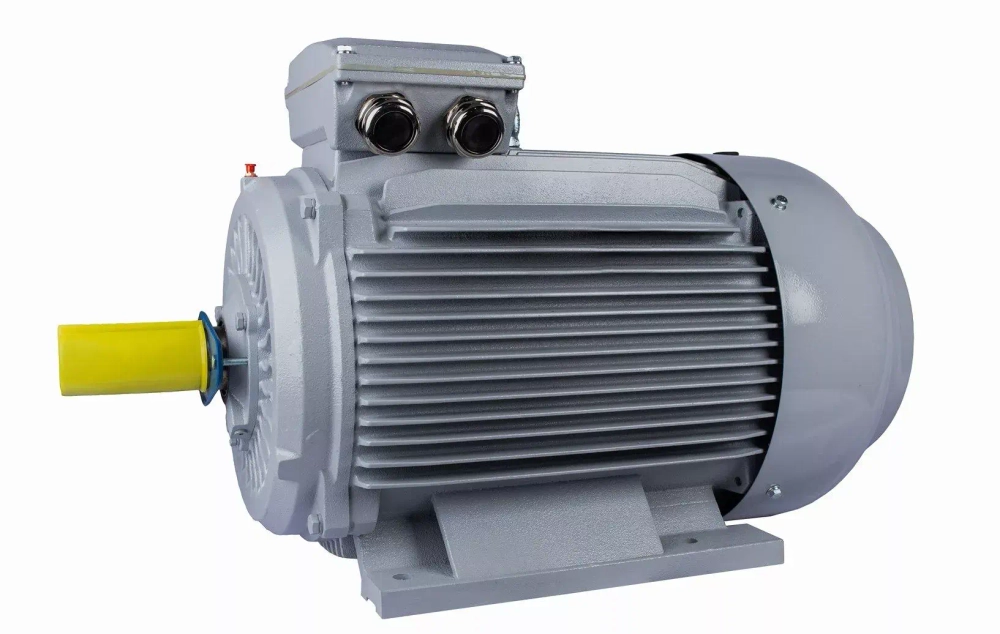 Электродвигатель ESQ PR 315 M2-SDN-Б1-S12-IE3 132/3000 IMB3