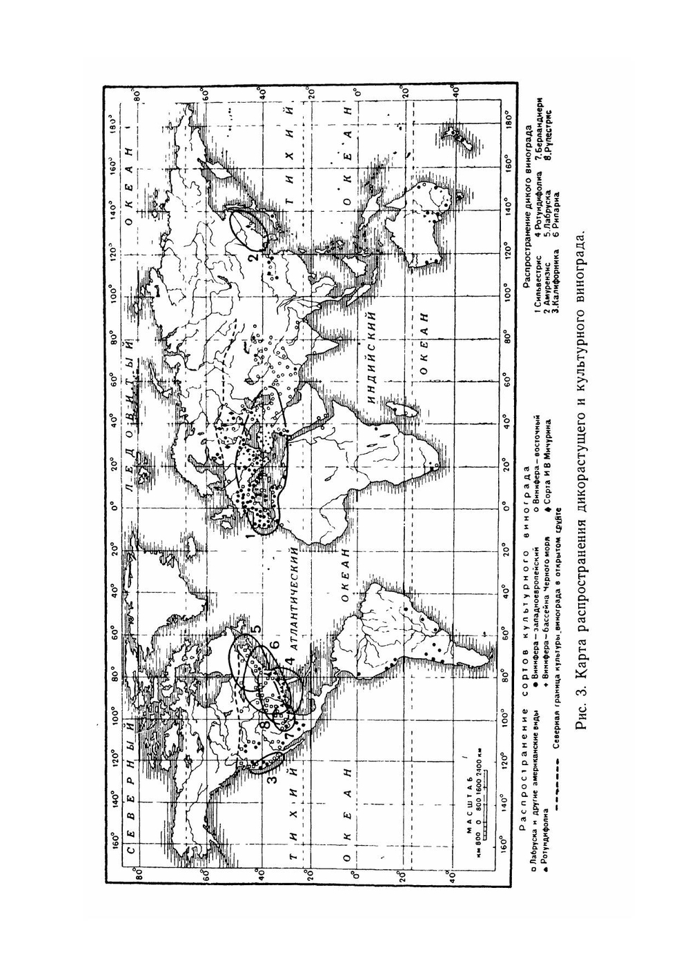 Виноградарство и виноделие | Негруль Александр Михайлович
