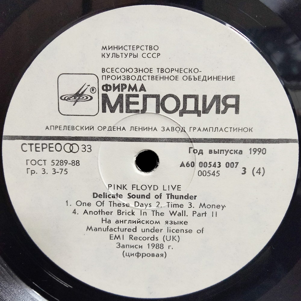 Pink Floyd / Delicate Sound Of Thunder (2LP)