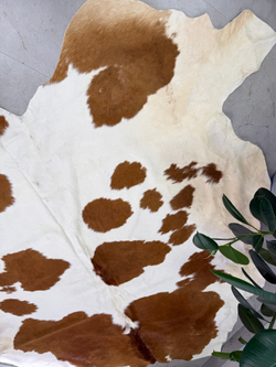 Коровья шкура на пол натуральная. 200 х 190 см