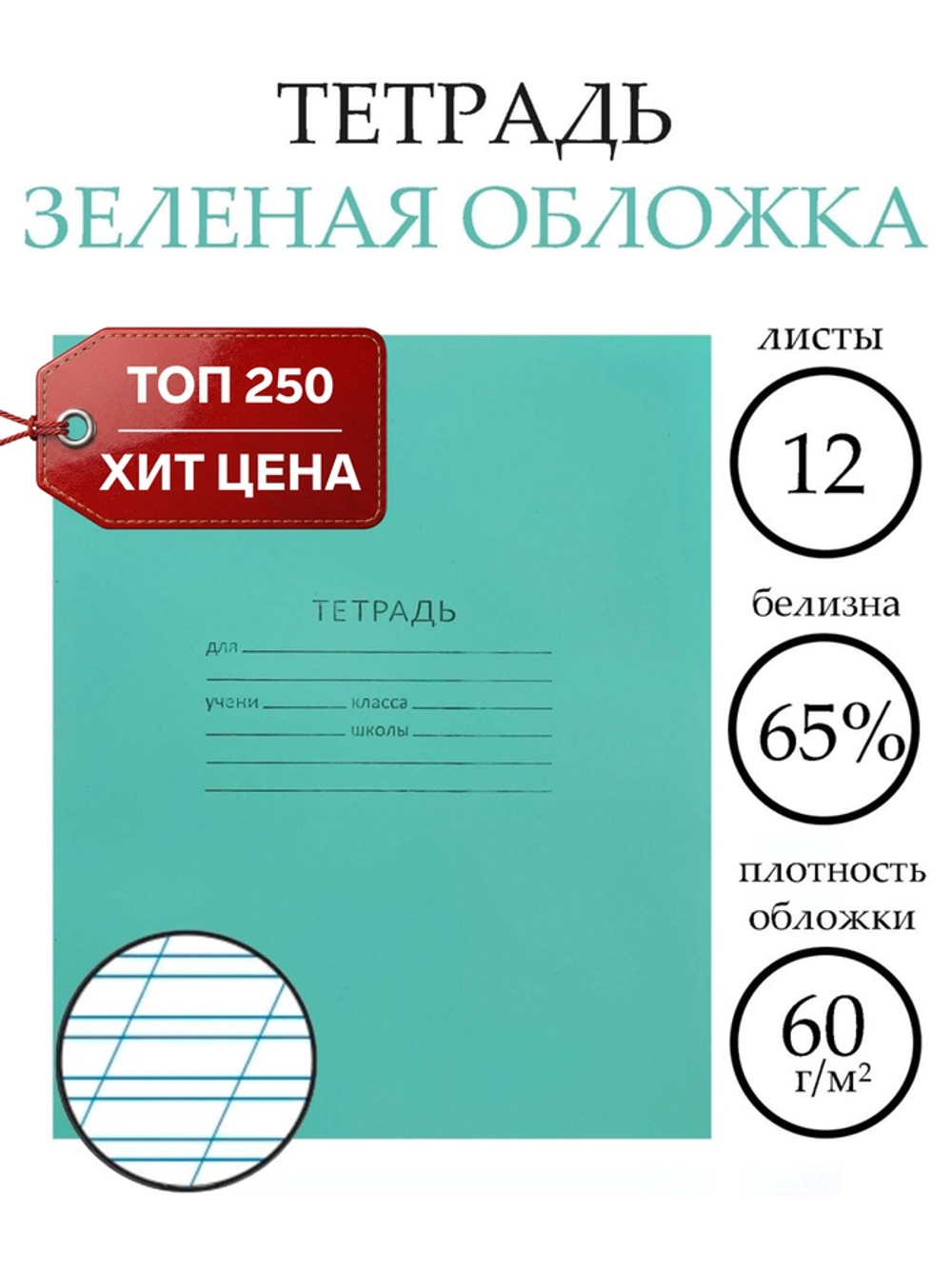 Тетрадь 12 листов в косую линейку «Зелёная обложка»
