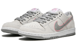 Кроссовки Nike Dunk Sb Ishod W Flat Silver